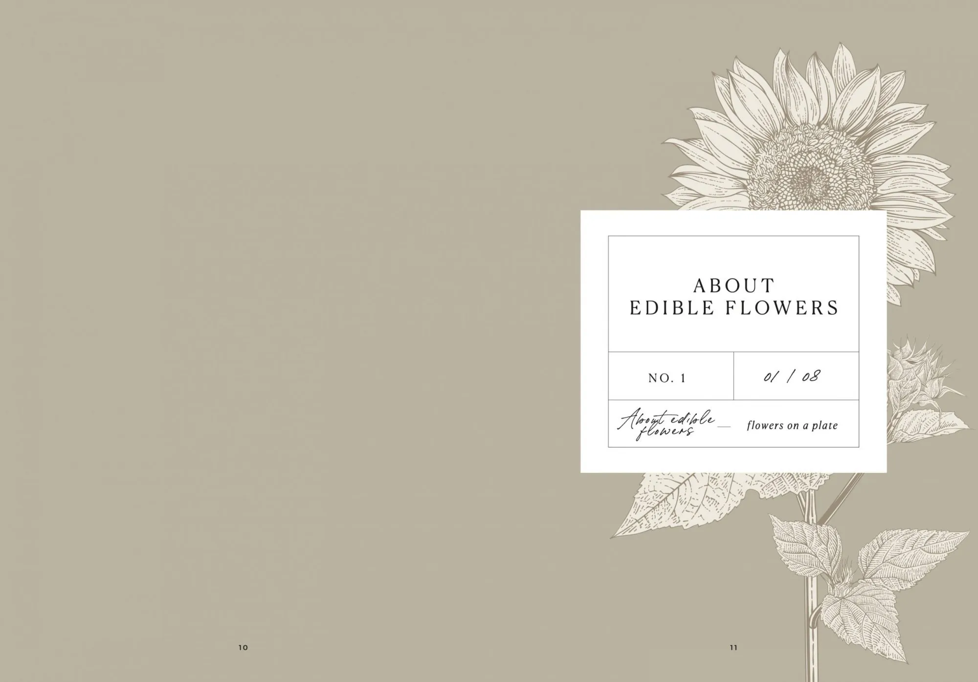 Flowers on a Plate - Image 3