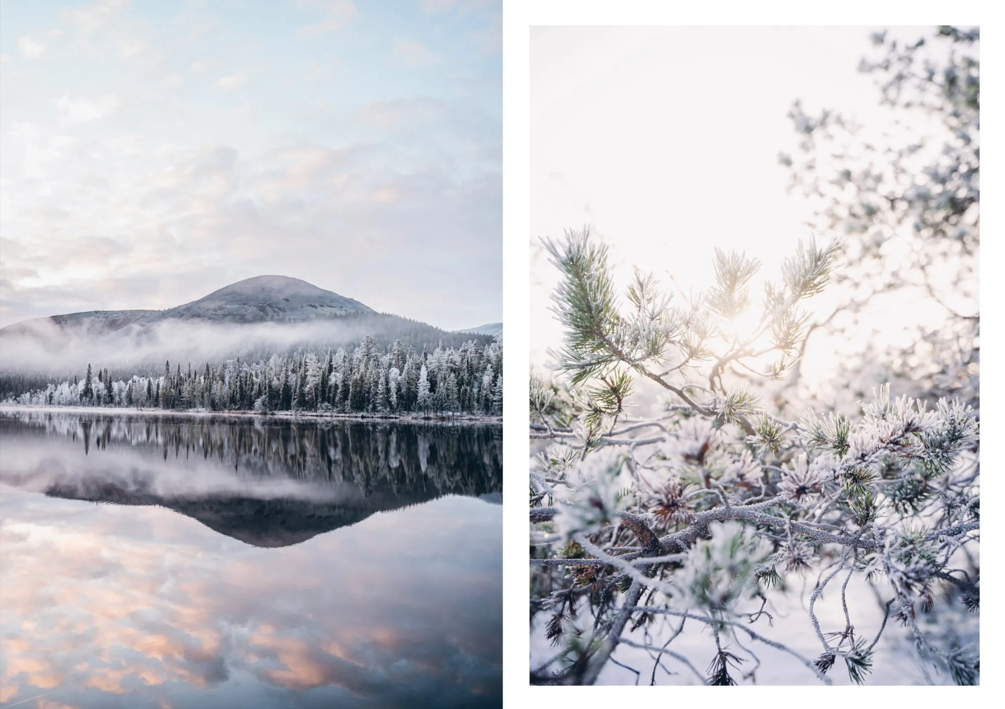 Food in the Woods - Vegetarian recipes from easy snacks to hiking meals - Image 4