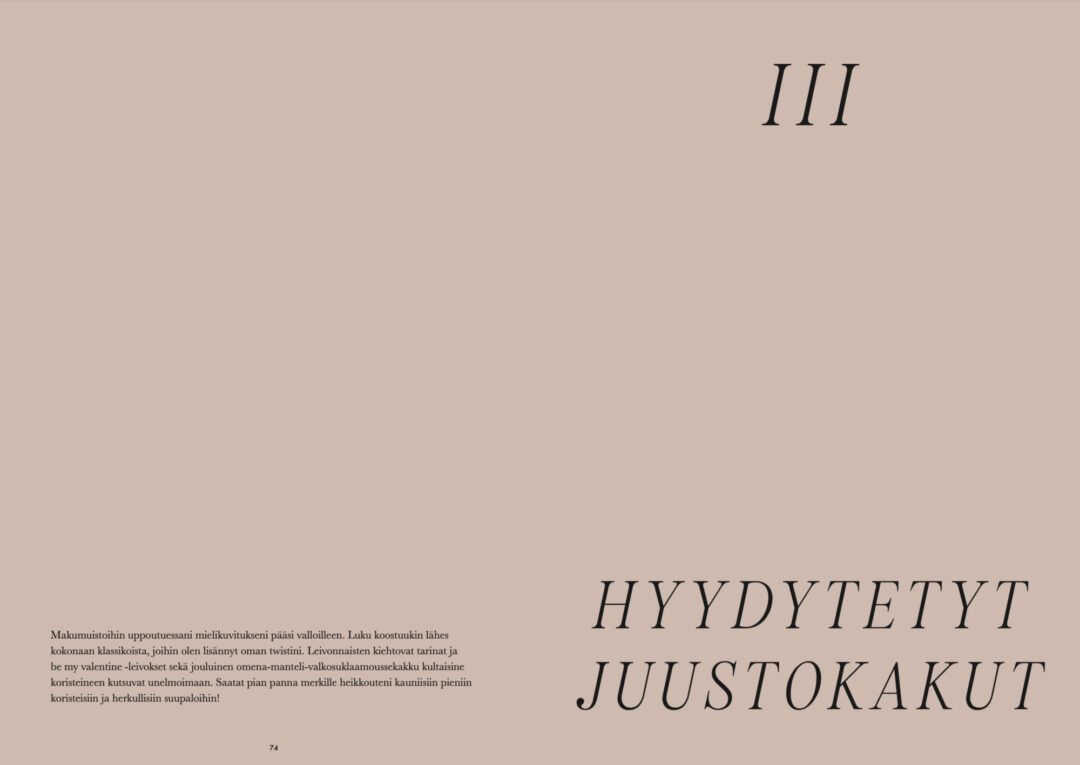 Makeasti - Vegaaniset juustokakut ja muut leipomoherkut - Image 3