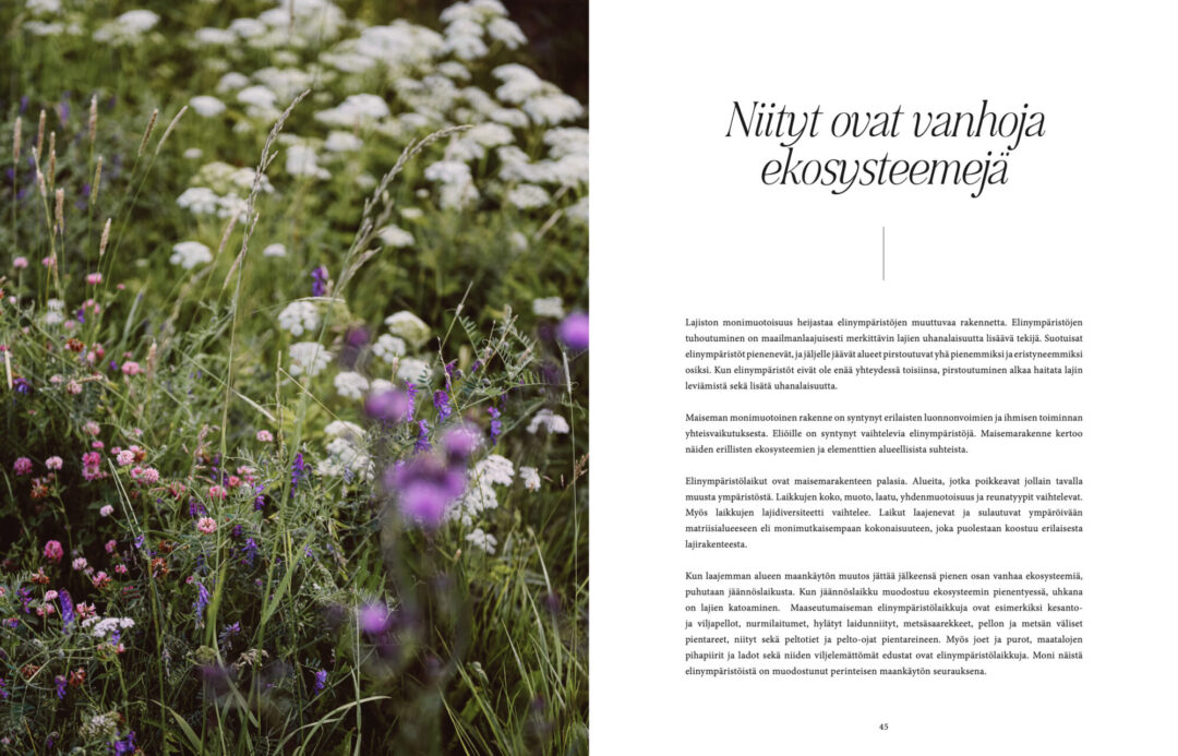 Missä kukat kasvavat - Image 5
