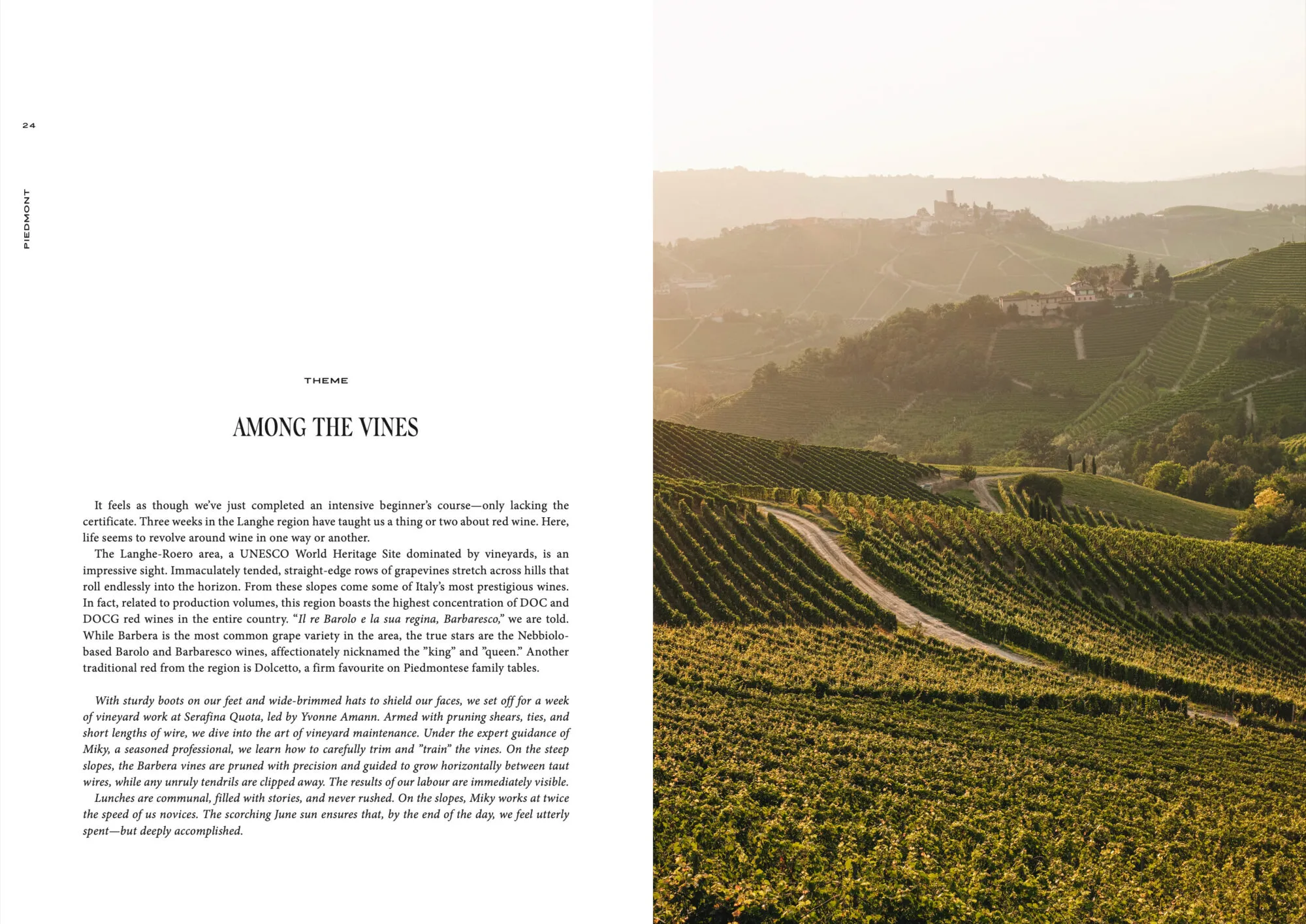 Somewhere in Italy - Image 5