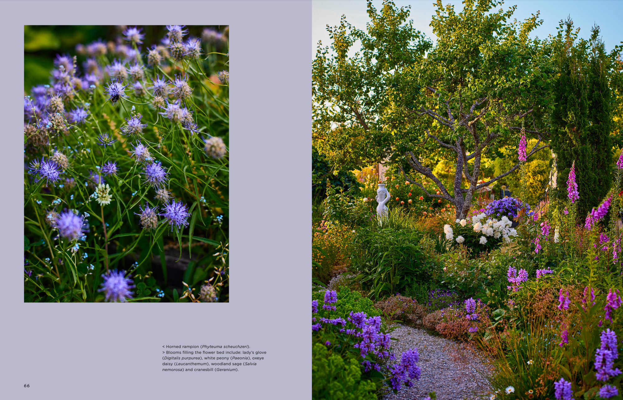 Island Gardens - Image 3