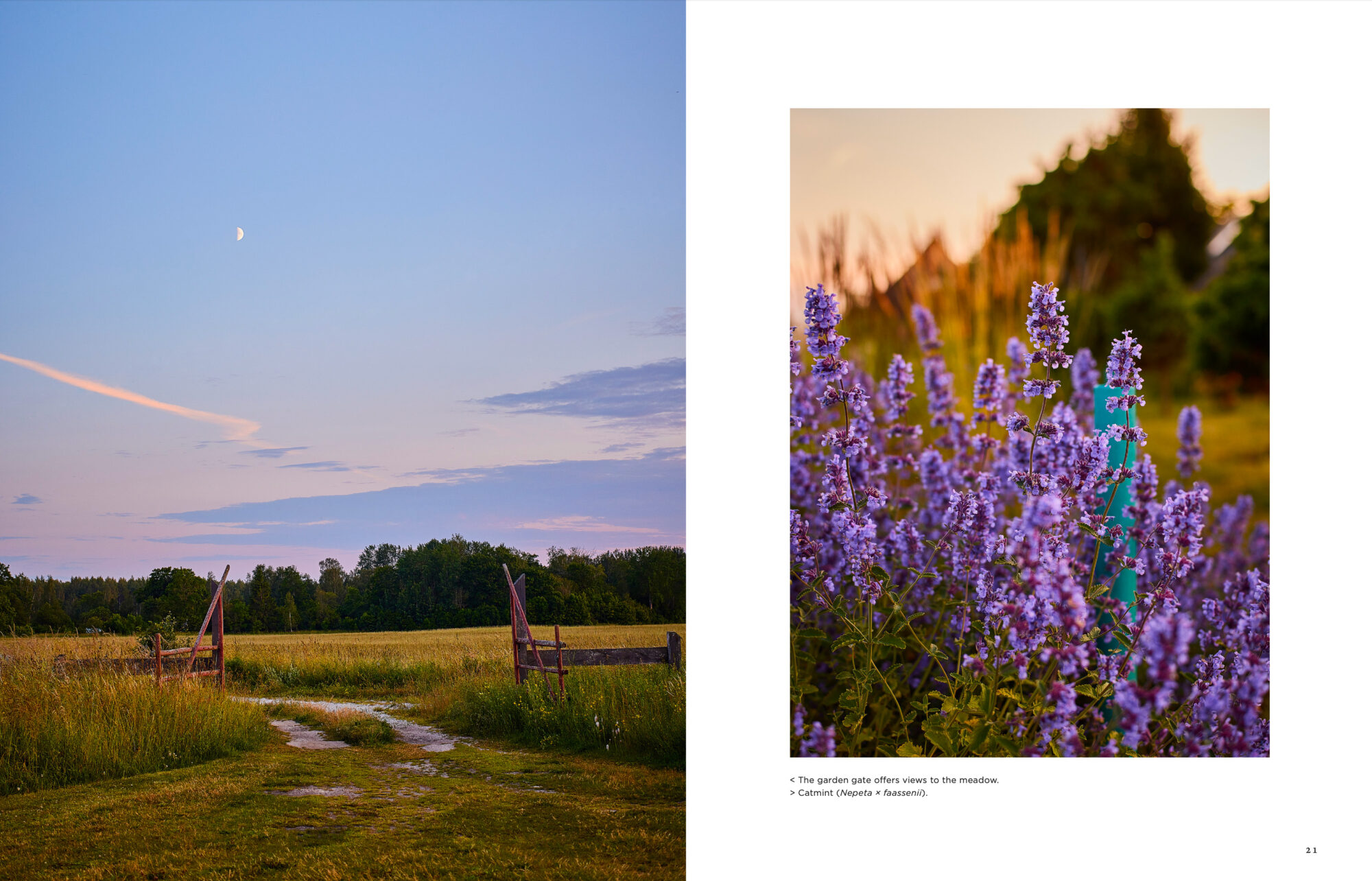 Island Gardens - Image 4