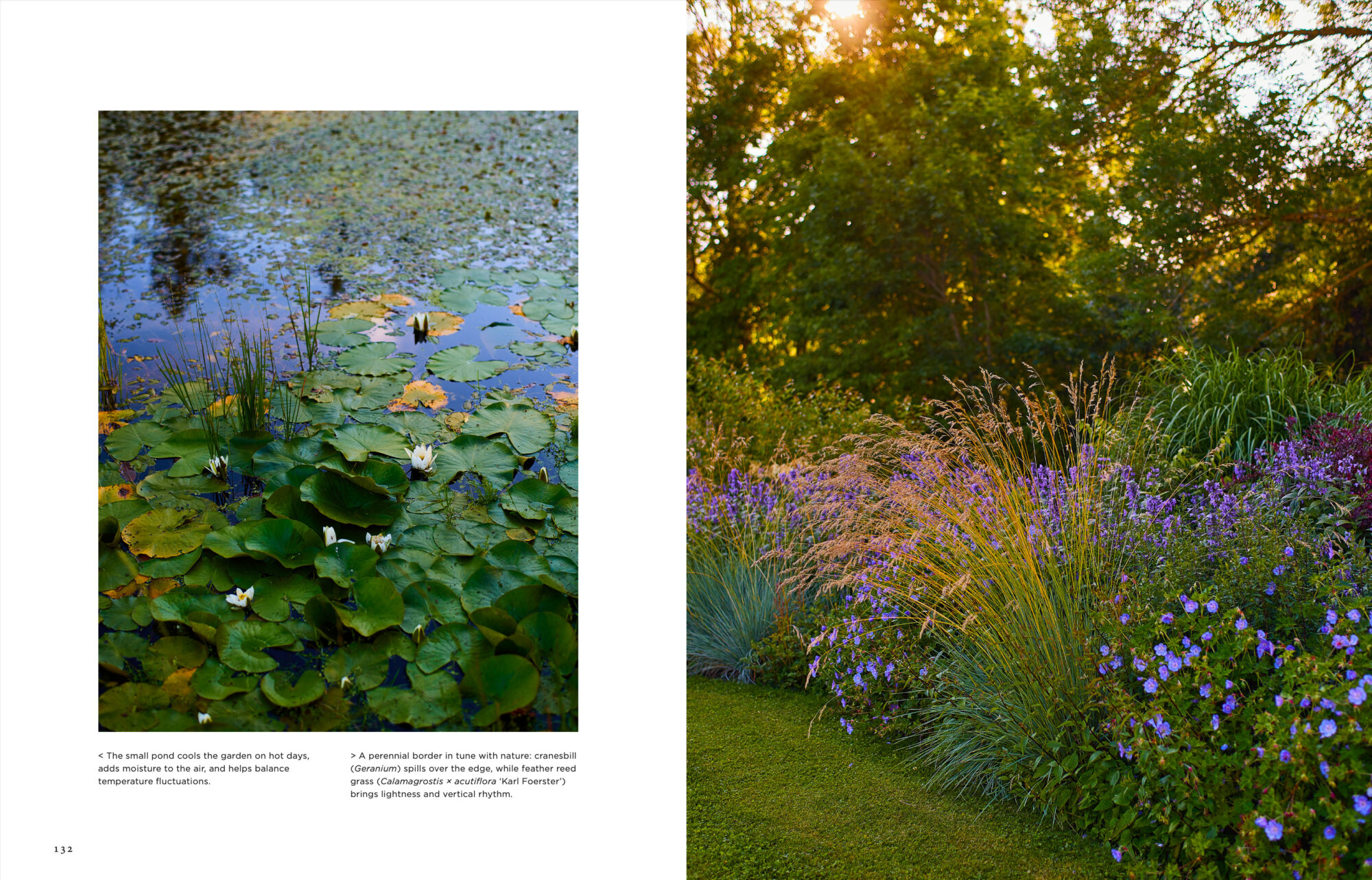 Island Gardens - Image 8