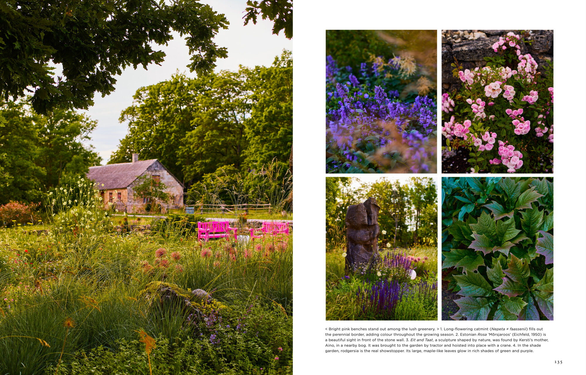 Island Gardens - Image 5