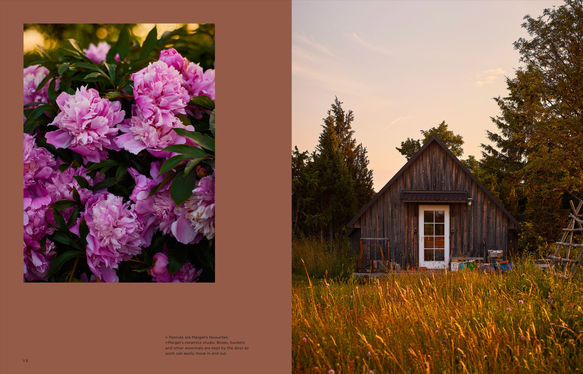 Island Gardens - Image 6