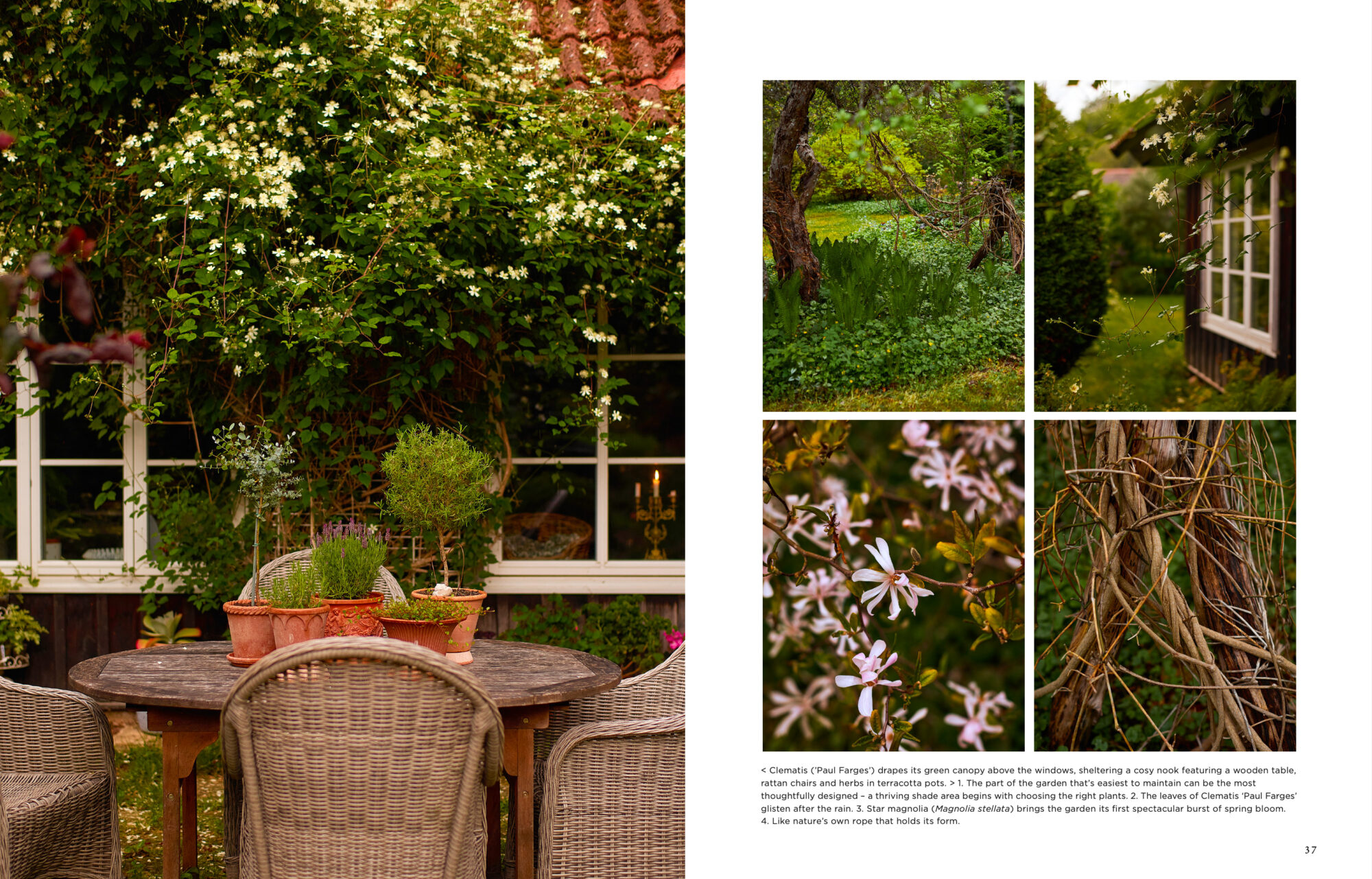 Island Gardens - Image 11