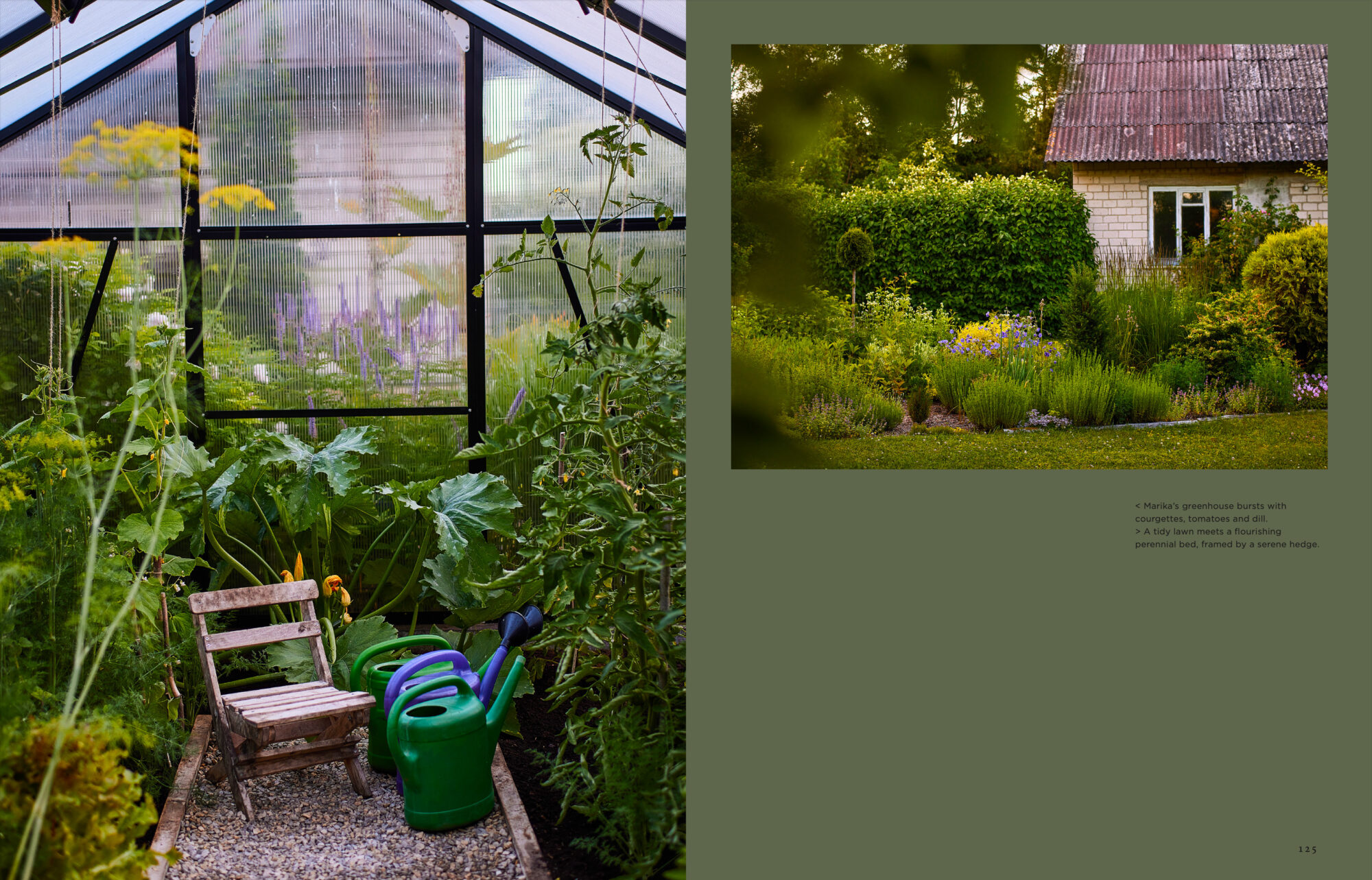 Island Gardens - Image 10