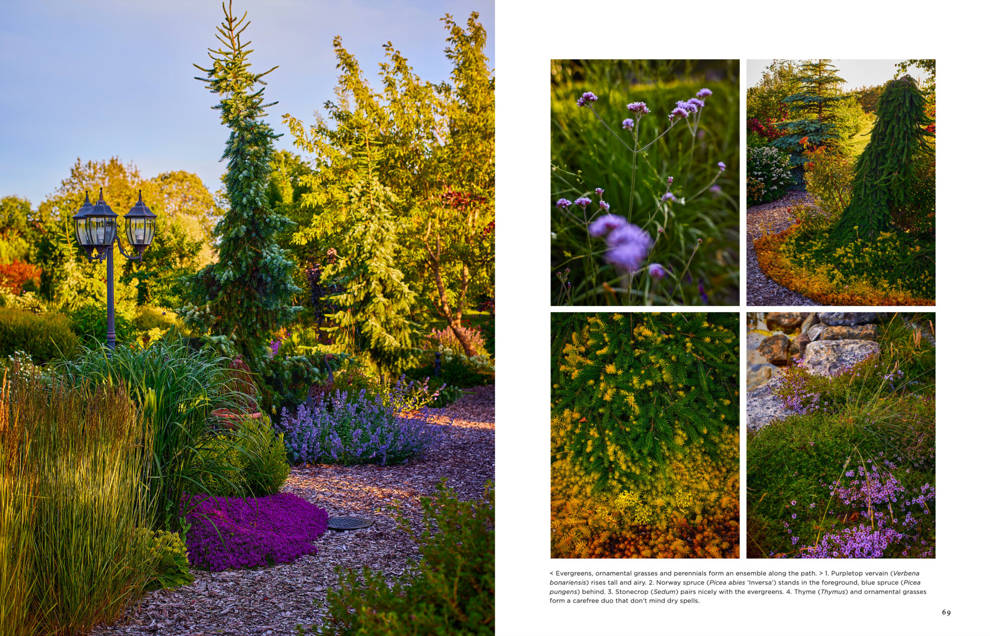 Island Gardens - Image 9