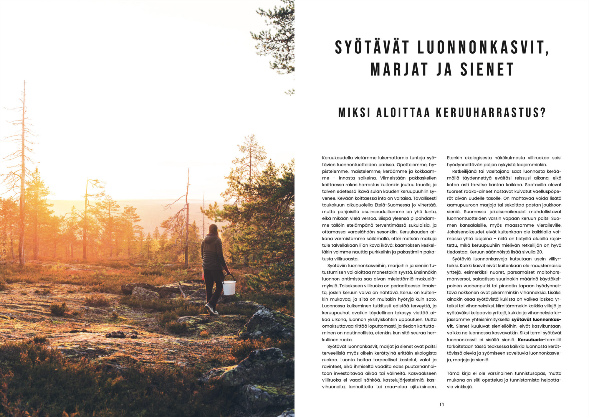 Retkiruokaa luonnosta (ennakkotilaus) - Image 2