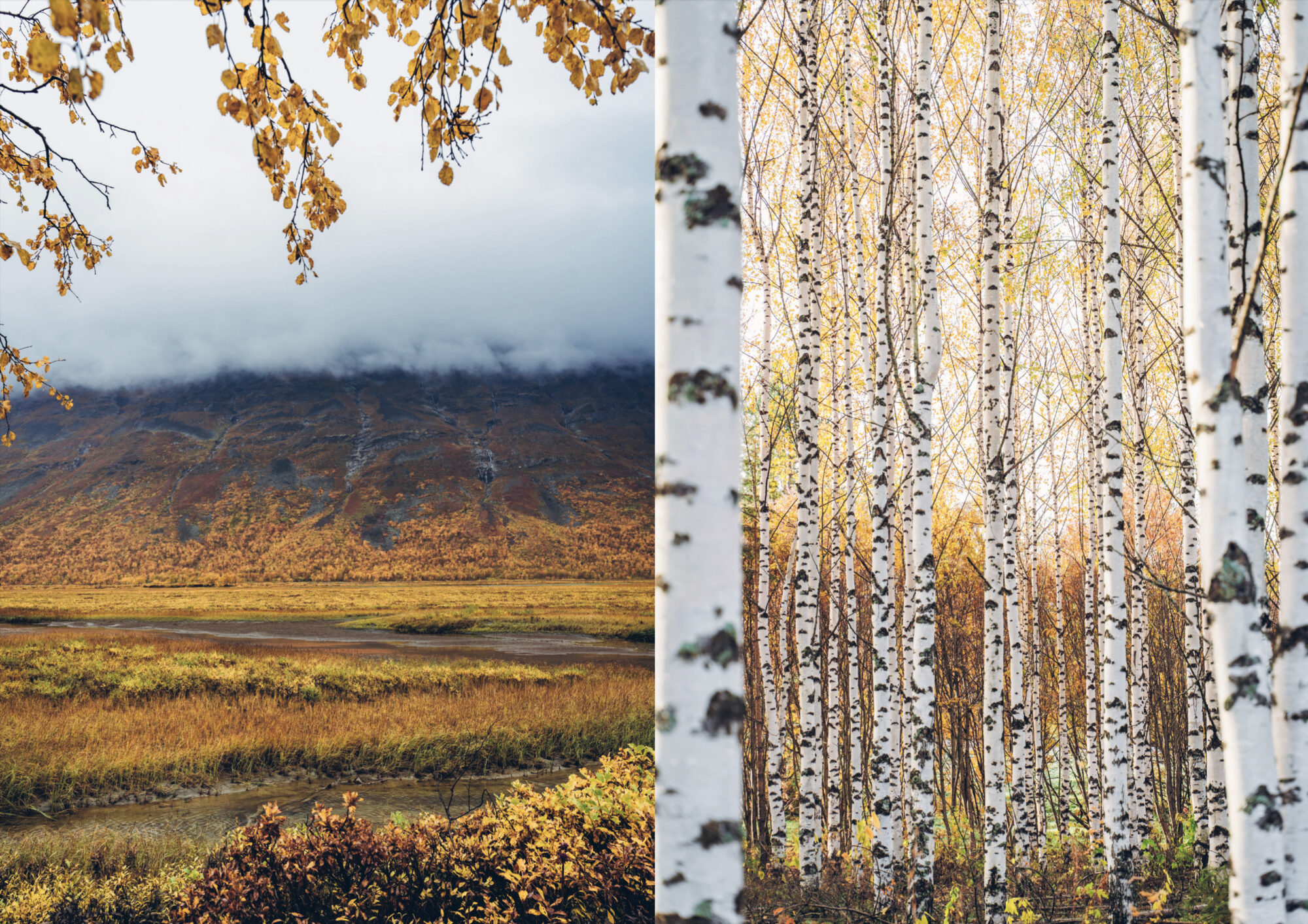 Retkiruokaa luonnosta (ennakkotilaus) - Image 11